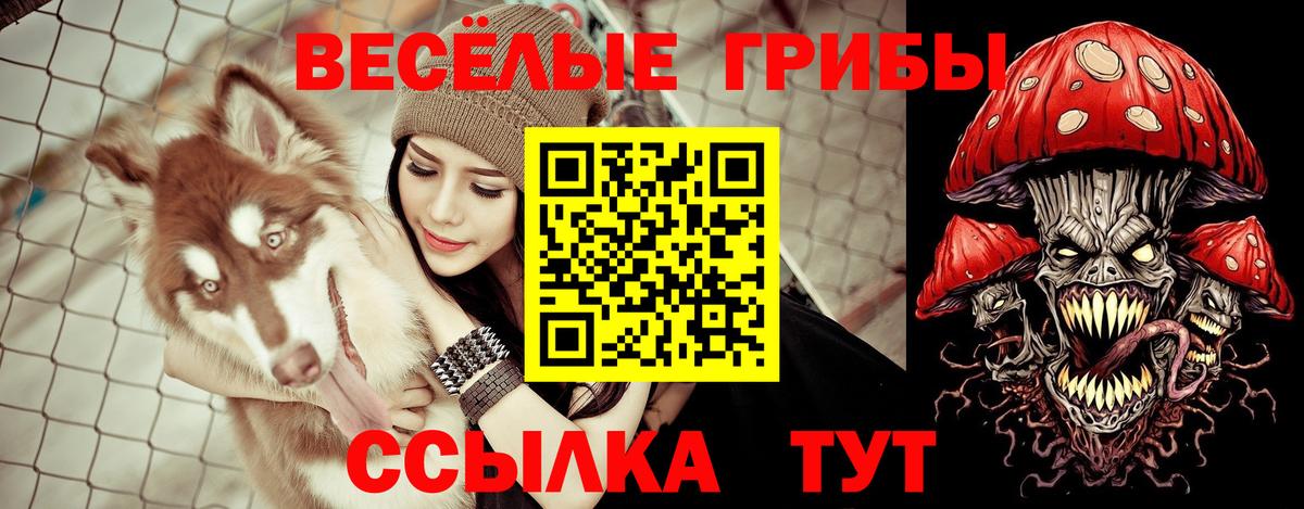 Псилоцибиновые грибы ЛСД Ангарск